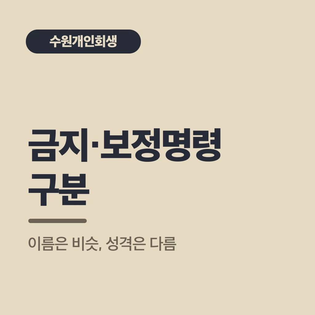 금지·보정명령 구분